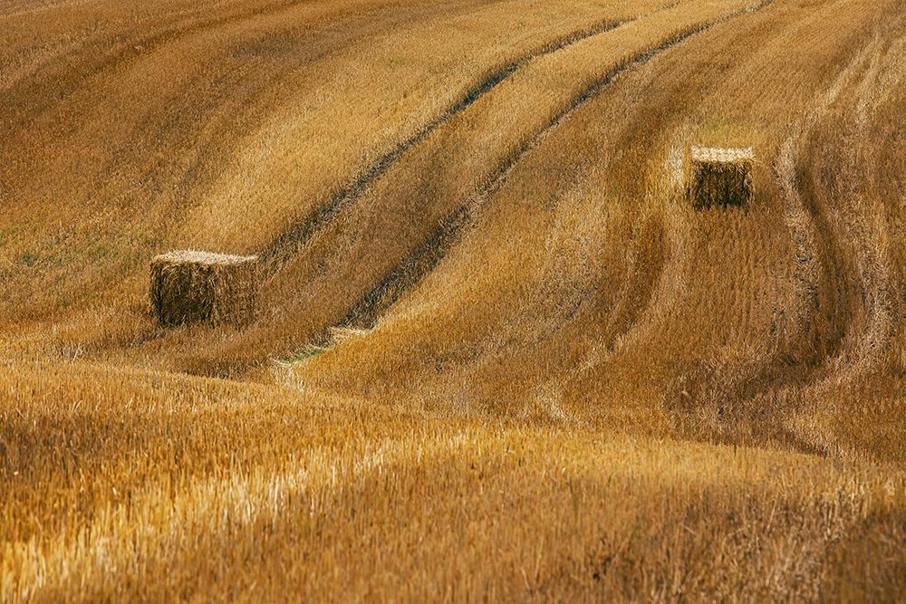 Golden Hay Bales art print by UU for $57.95 CAD