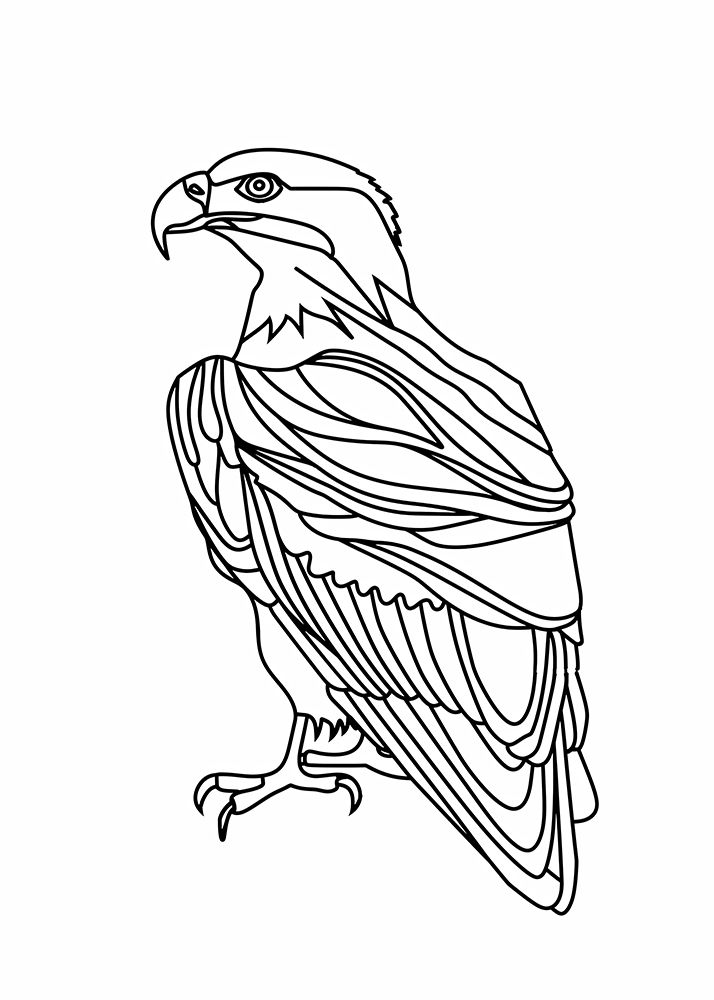 Line Eagle art print by Justyna Jaszke for $57.95 CAD