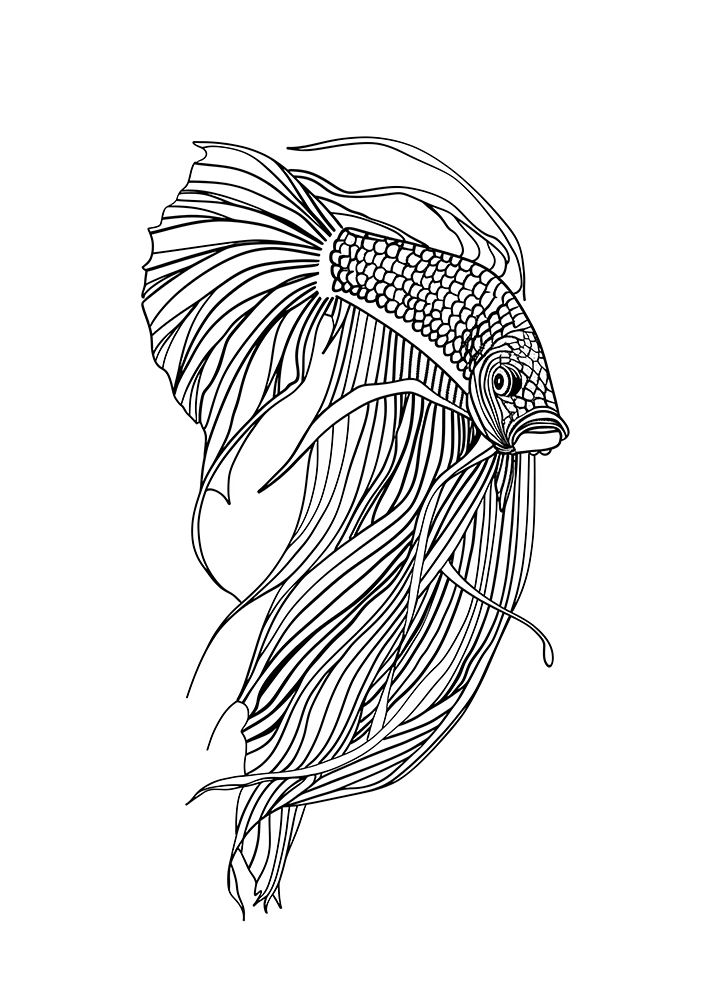 Line Fish art print by Justyna Jaszke for $57.95 CAD