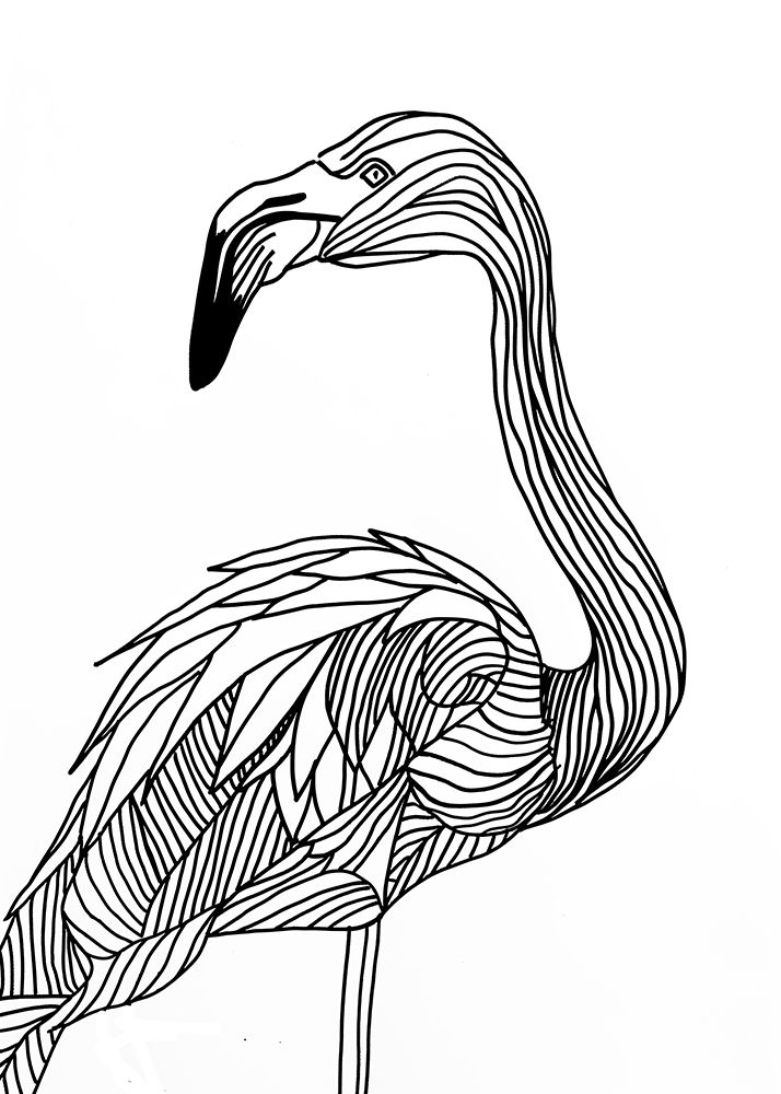 Lines art Flamingo art print by Justyna Jaszke for $57.95 CAD