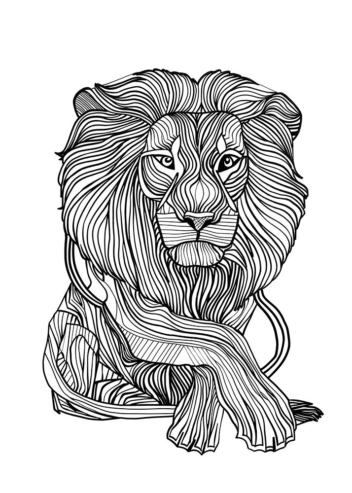 Lines art Lion art print by Justyna Jaszke for $57.95 CAD