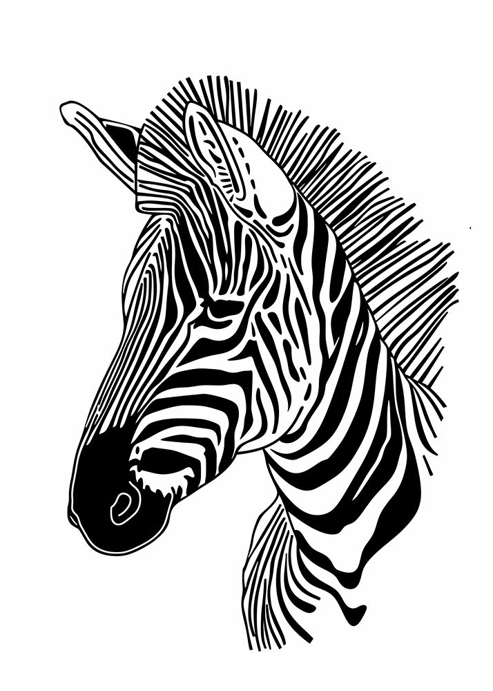 Lines art Zebra art print by Justyna Jaszke for $57.95 CAD