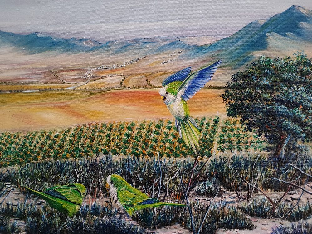 Wings of Spain art print by Annette Armitage for $57.95 CAD