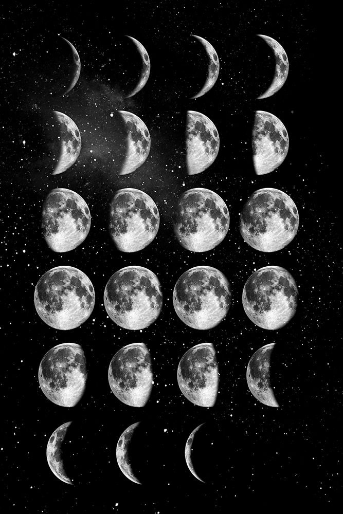 Full Moon Cycle art print by Brett Wilson for $57.95 CAD