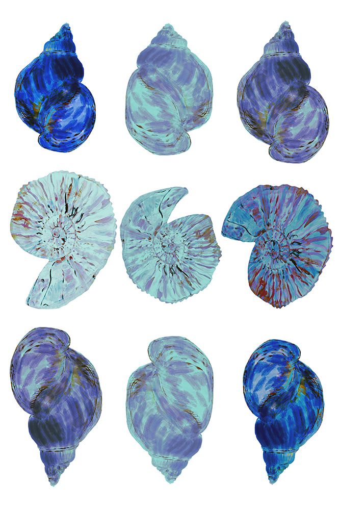 Blue Sea Shells Poster art print by cartissi for $57.95 CAD
