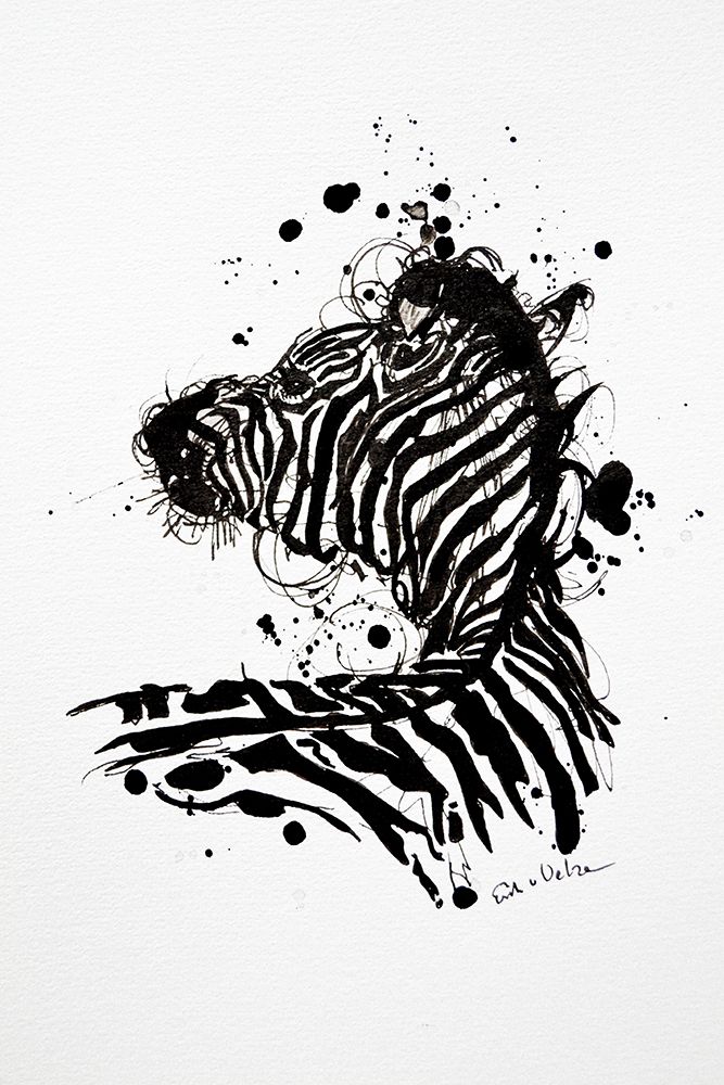 Zeebra art print by Erik Van Velzen for $57.95 CAD