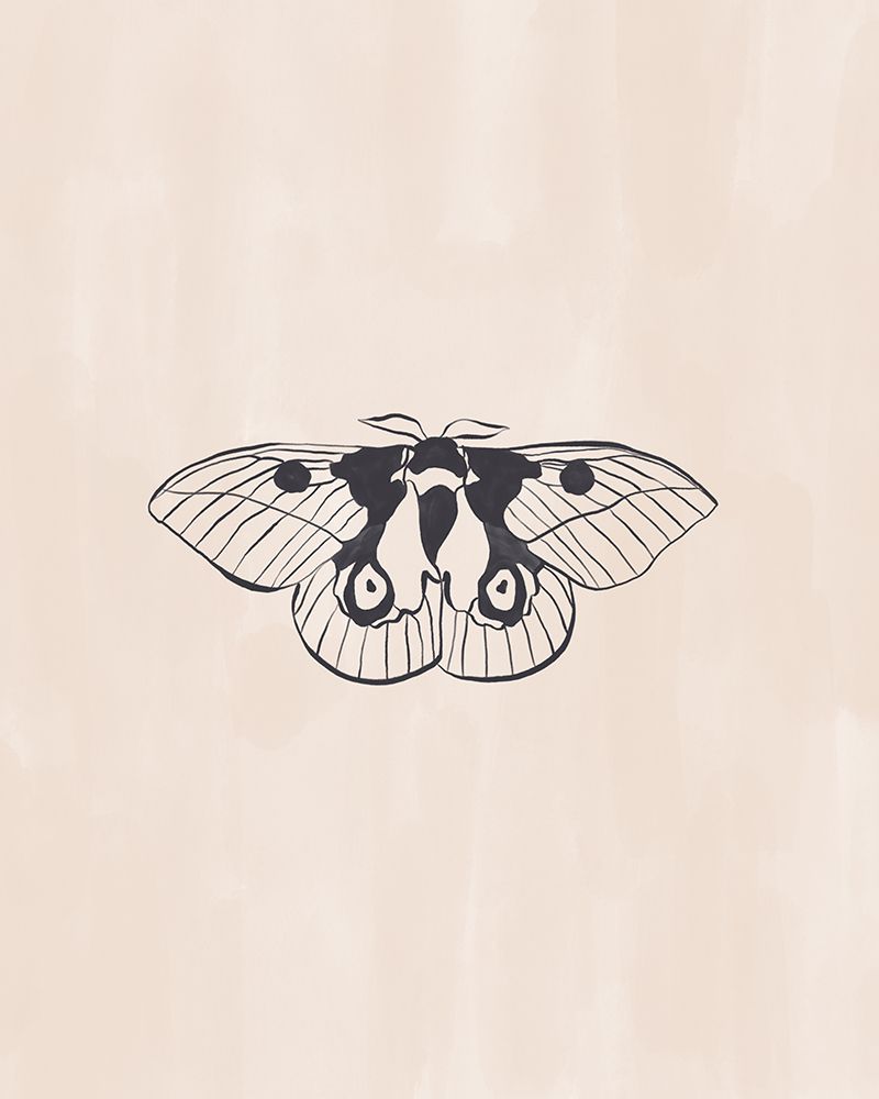 Moth Line Art Print By Ivy Green Illustrations 4 5 Ratio art print by Ivy Green Illustrations for $57.95 CAD