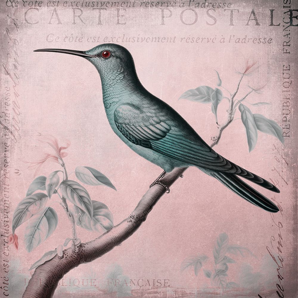 Hummingbird Romance Pastel Pink Ii art print by Andrea Haase for $57.95 CAD