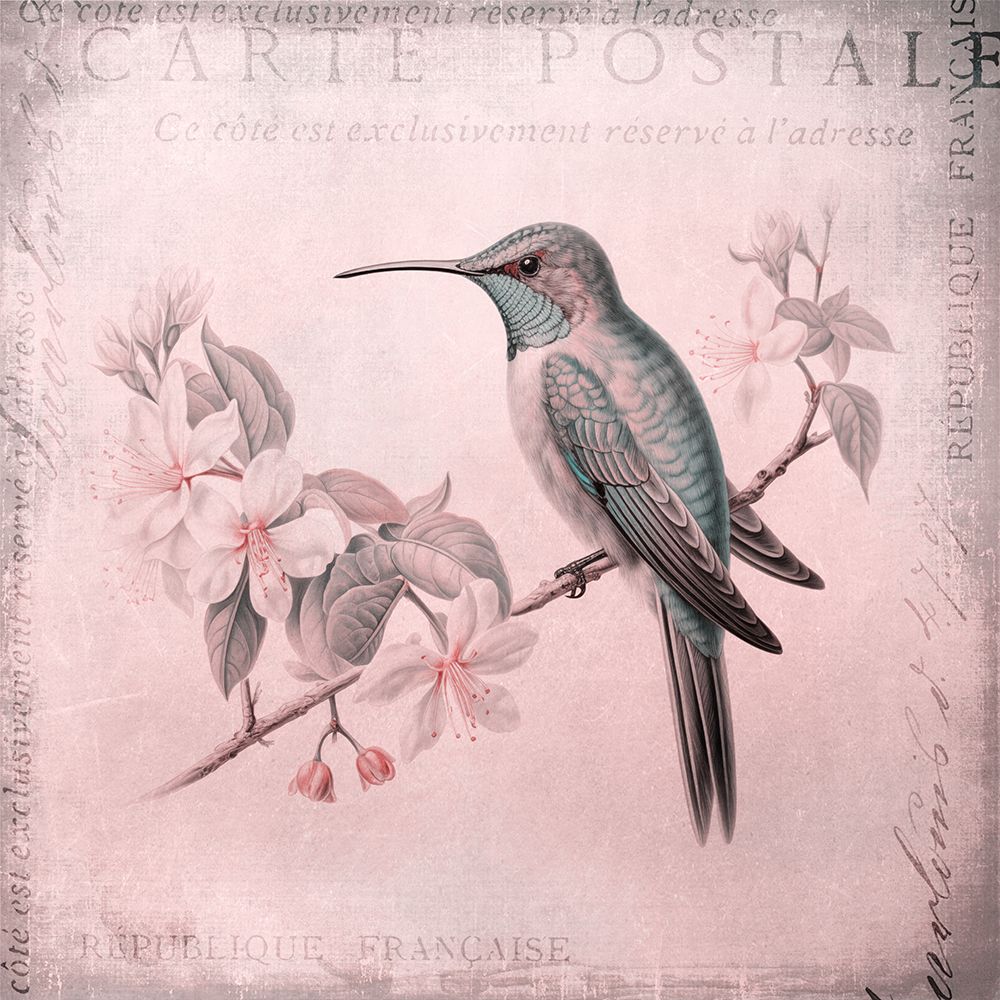 Hummingbird  Romance Pastel Pink art print by Andrea Haase for $57.95 CAD