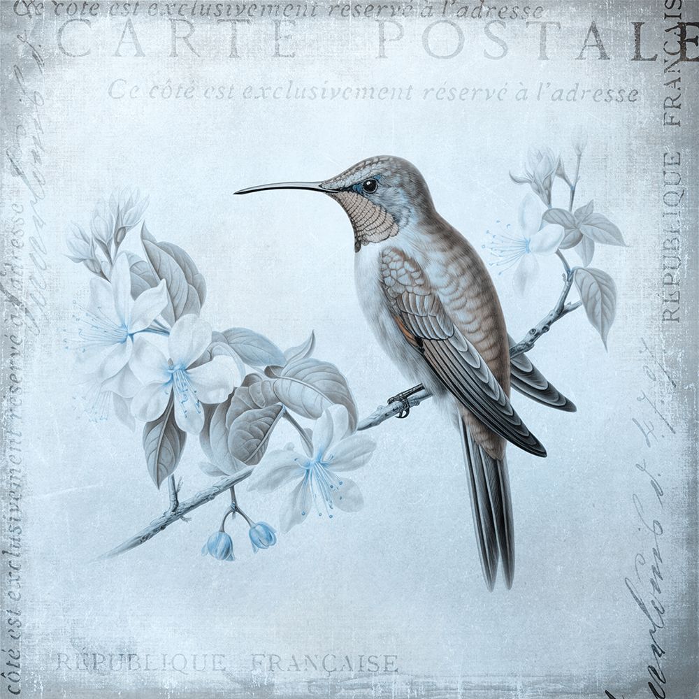 Hummingbird  Romance Aqua Blue art print by Andrea Haase for $57.95 CAD