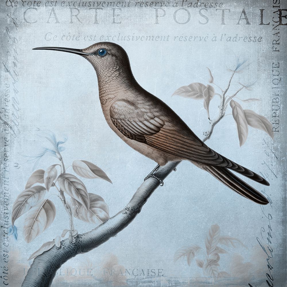 Hummingbird  Romance Aqua Blue Ii art print by Andrea Haase for $57.95 CAD