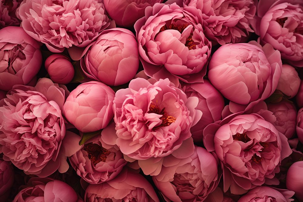 Blossom Cascade Floral Beauty Coral art print by Andrea Haase for $57.95 CAD