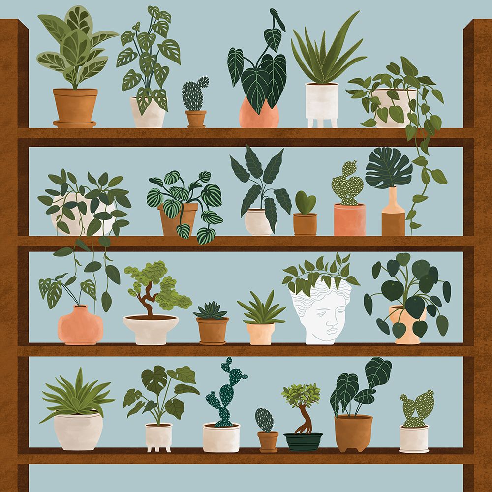 Still Life prints and posters