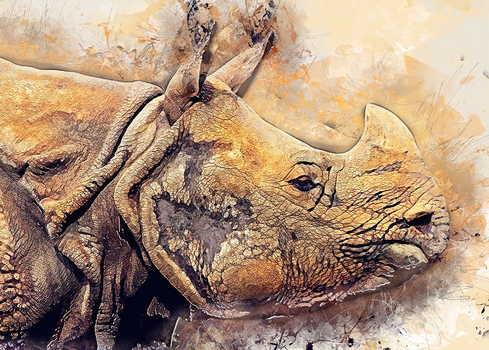 Rhinoceros animal art art print by Justyna Jaszke for $57.95 CAD