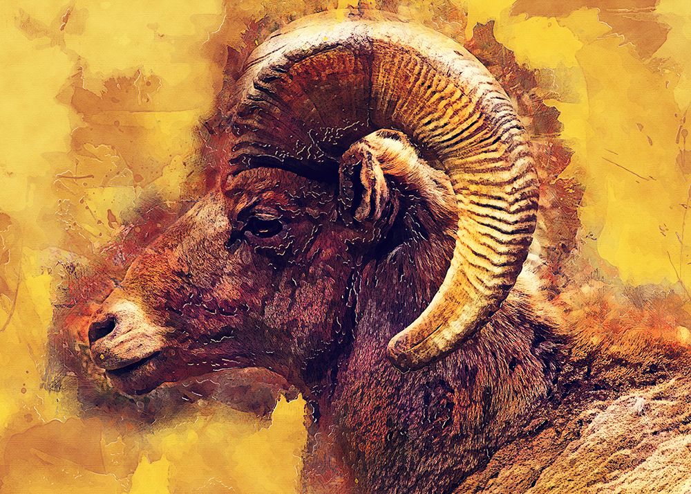 Mouflon animal art art print by Justyna Jaszke for $57.95 CAD