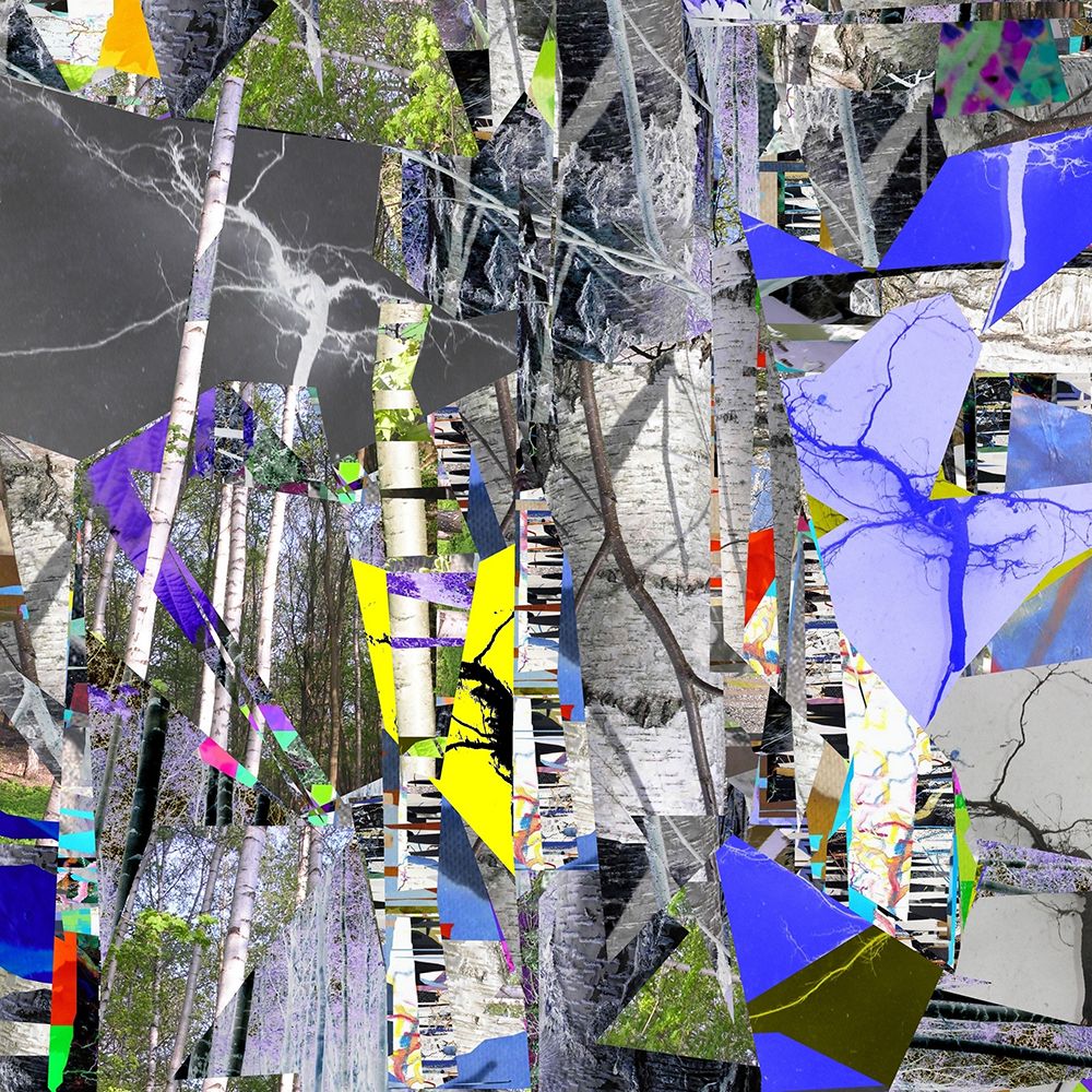 Forest art print by Stefan Fransson for $57.95 CAD