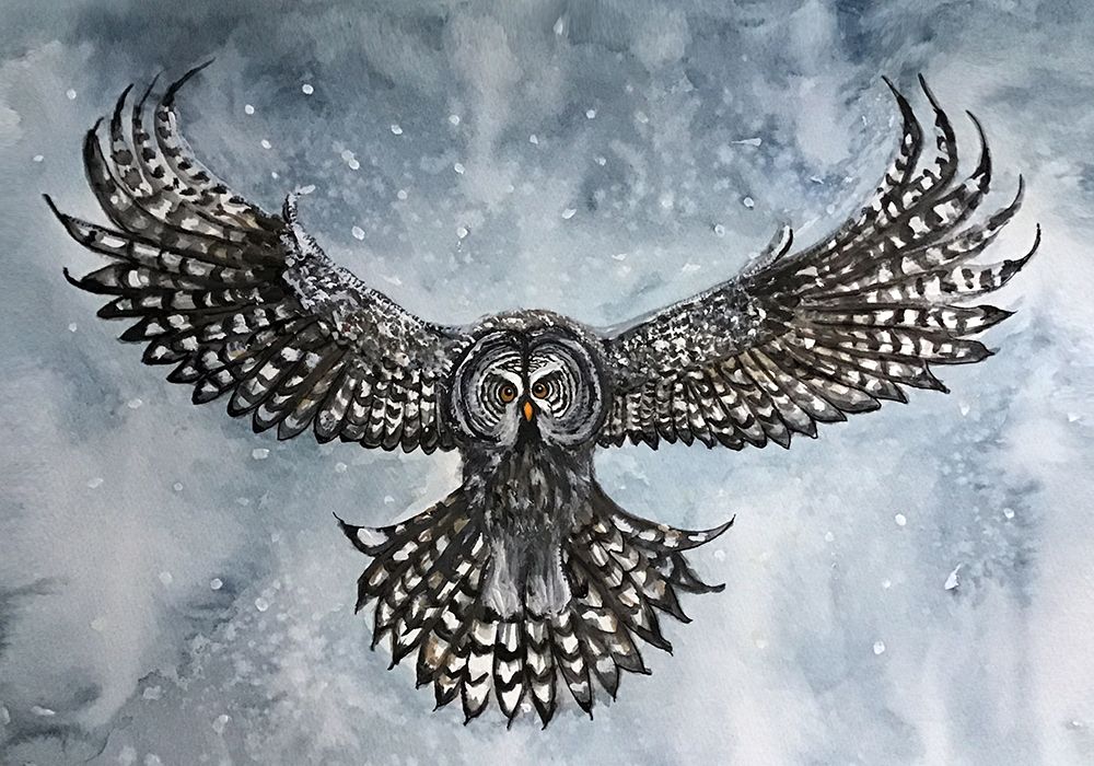 great grey owl art print by Monica Lindblom for $57.95 CAD