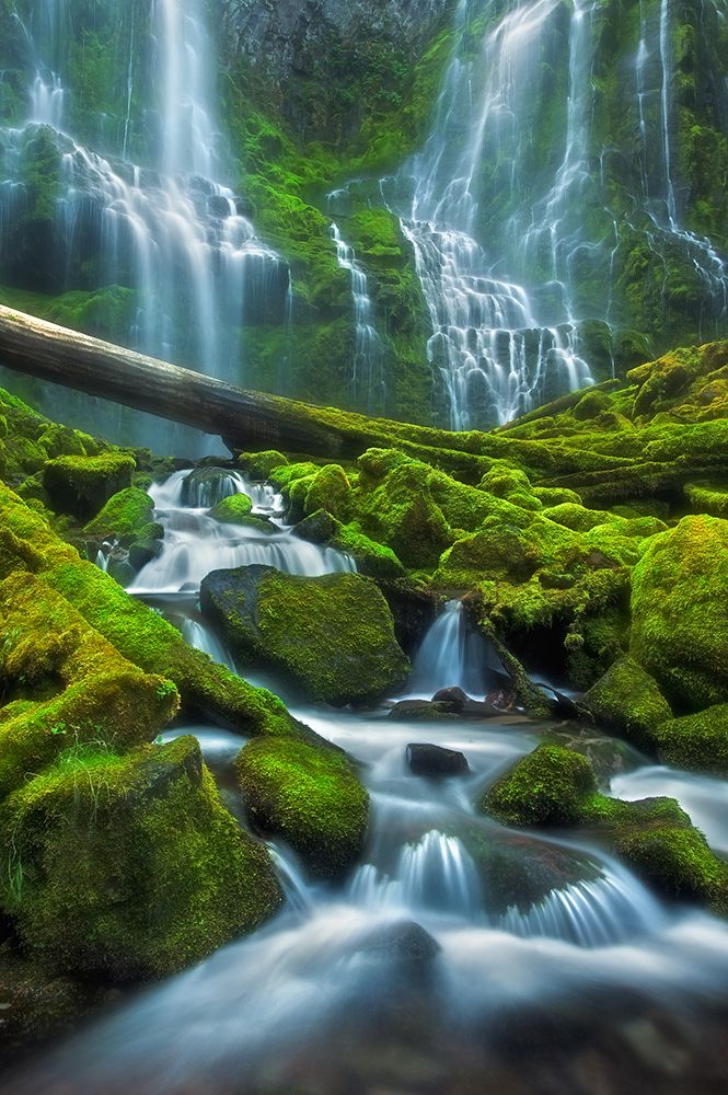 Jurrasic art print by Miles Morgan for $57.95 CAD