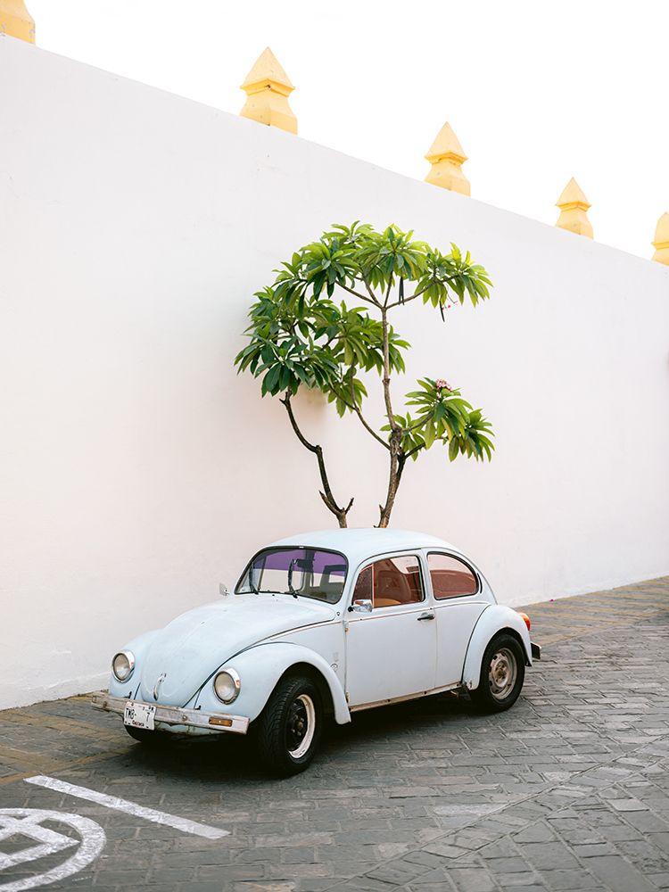 Pastel Volskwagen Beetle in the streets of Oaxaca Mexico art print by Raisa Zwart for $57.95 CAD