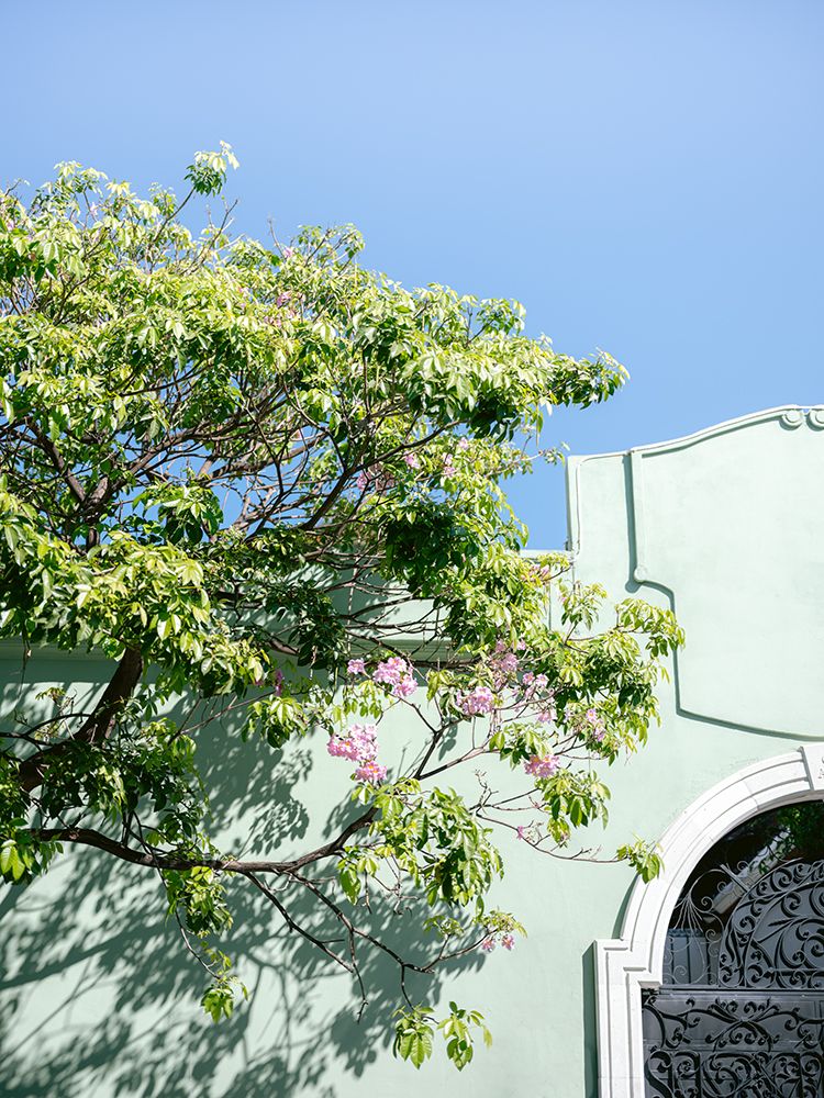 Pastel Oaxaca Architecture | Mexico travel photography art print by Raisa Zwart for $57.95 CAD
