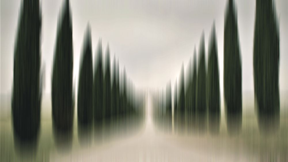 Tuscany cypresses art print by Irma Warth for $57.95 CAD