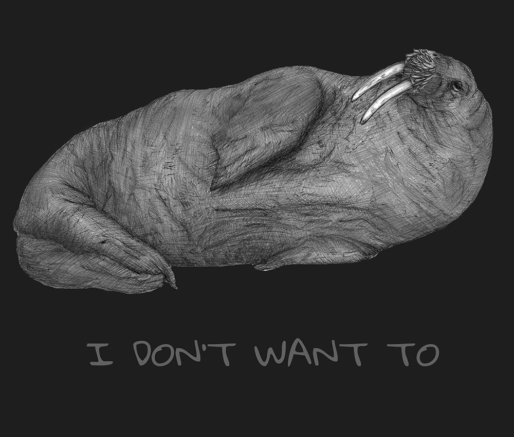Walrus I DonAnd#039;t Want To.png art print by E.C. Mazur for $57.95 CAD