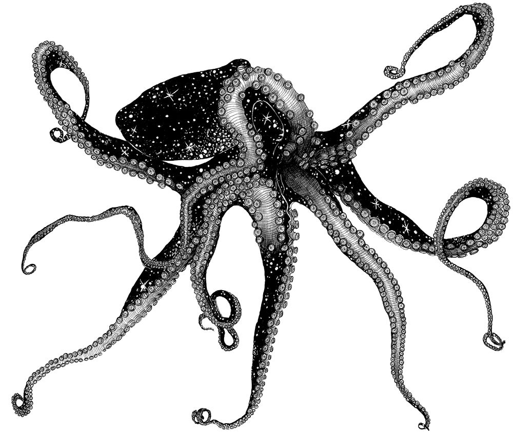 Cosmic Octopus Large art print by E.C. Mazur for $57.95 CAD