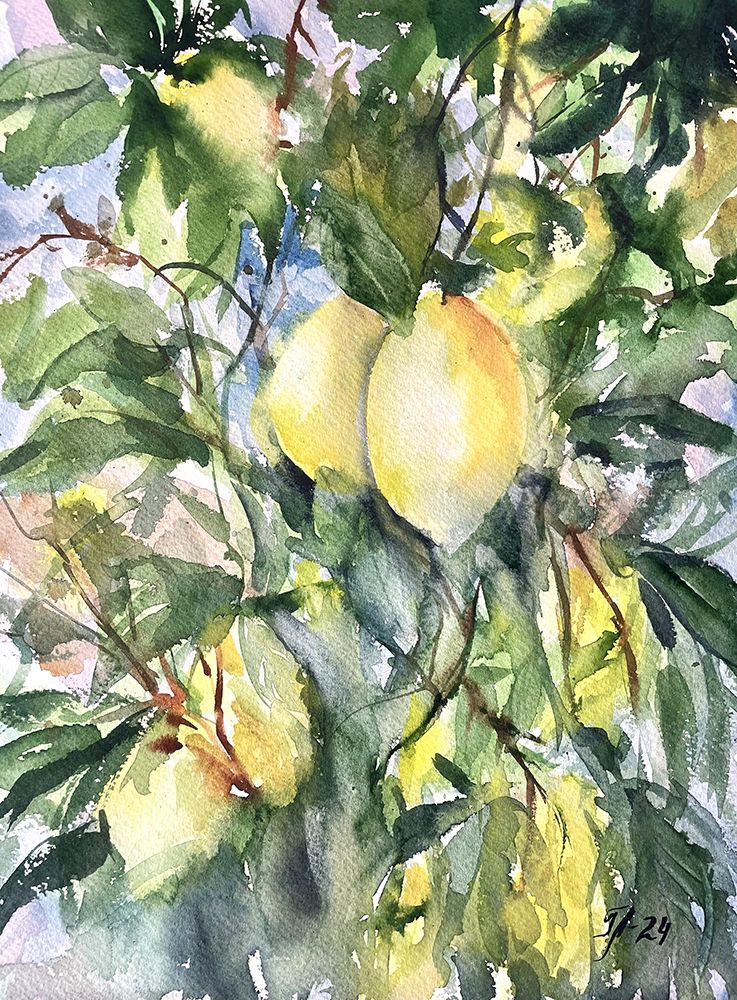 Citroner art print by Tanya Lundmark for $57.95 CAD