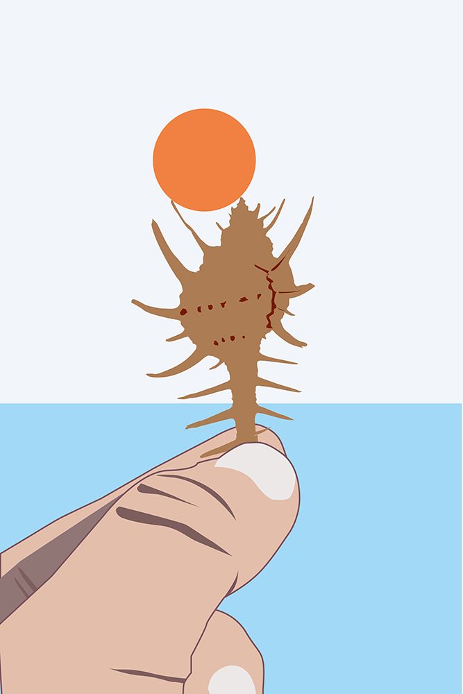 The Sun On the Conch art print by Designs Vesuvik for $57.95 CAD