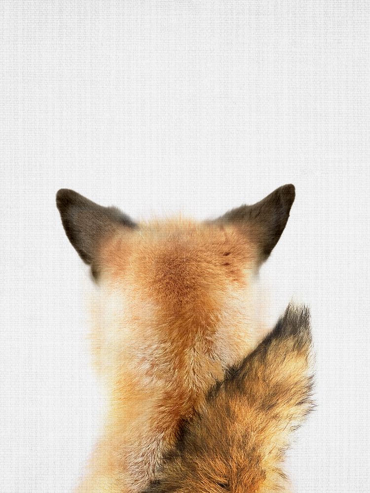 Foxtail art print by Lola Peacock for $57.95 CAD