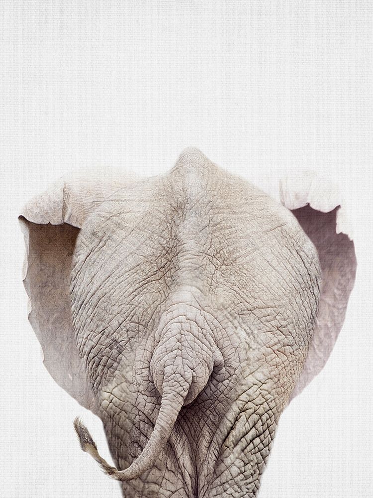 Elephanttail art print by Lola Peacock for $57.95 CAD