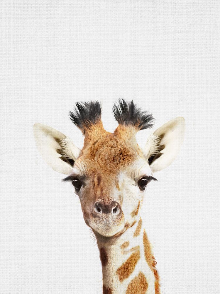 Giraffe art print by Lola Peacock for $57.95 CAD