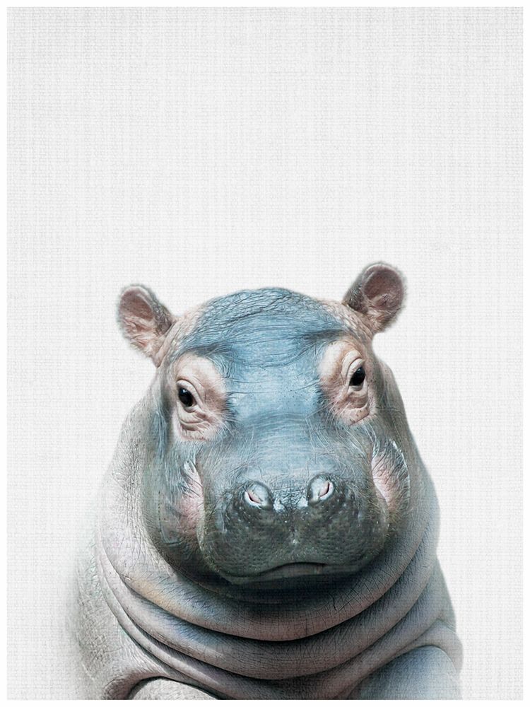 Lilaxlola art print by Lola Peacock for $57.95 CAD