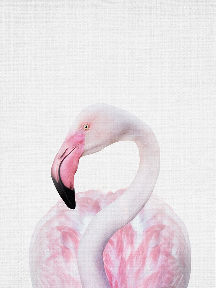 Flamingo art print by Lola Peacock for $57.95 CAD