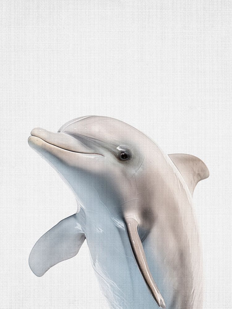 Dolphin art print by Lola Peacock for $57.95 CAD