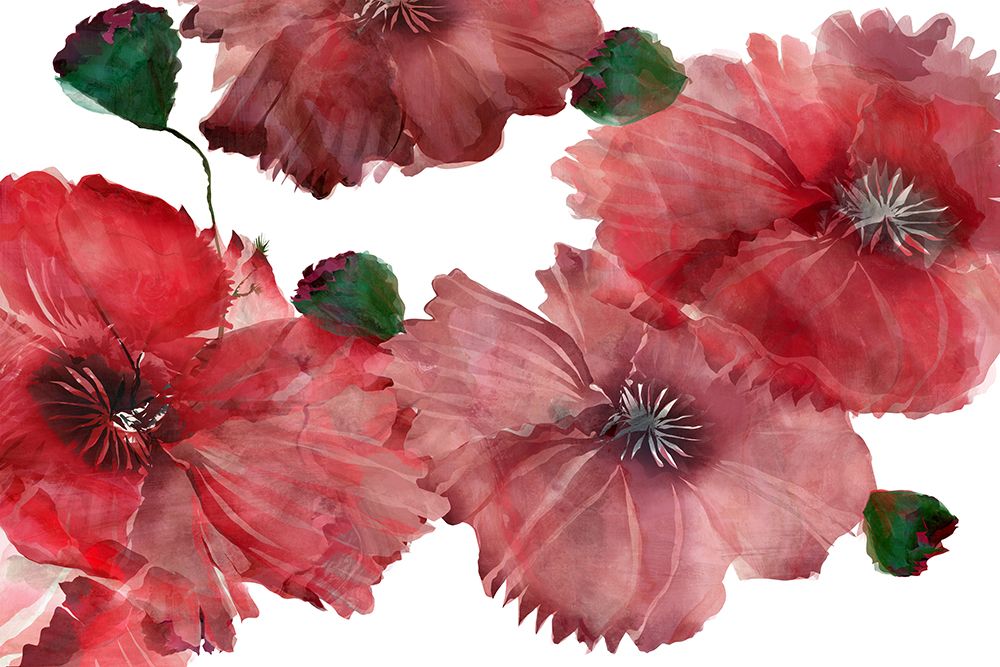 Big Red Flowers 1 art print by cartissi for $57.95 CAD