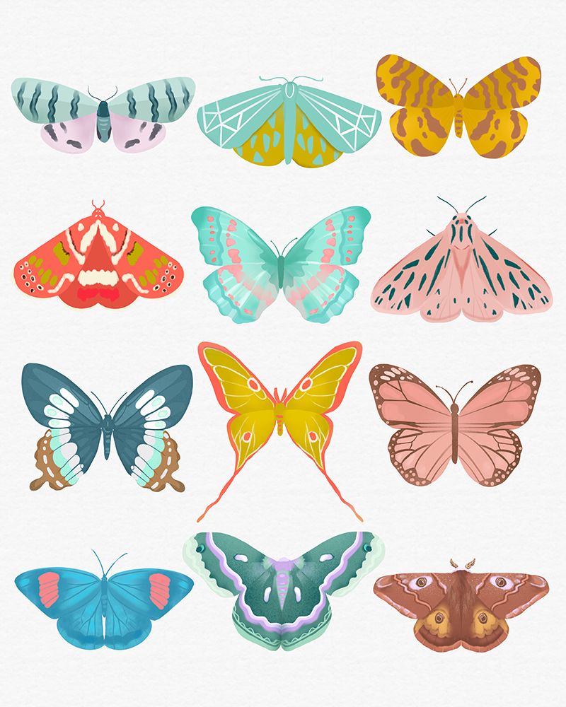 Butterfly art print by Petra Lizde for $57.95 CAD