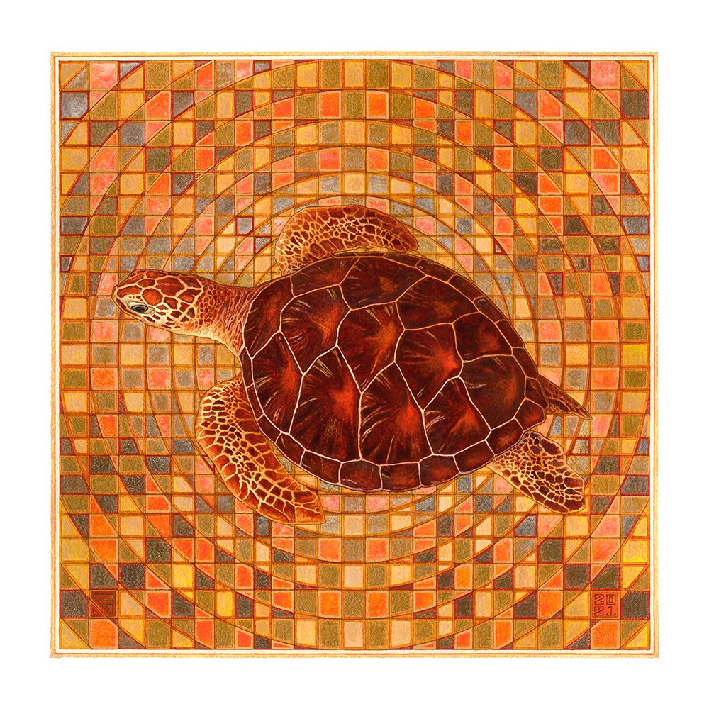 Tortuga I art print by Dobri Gjurkov for $57.95 CAD