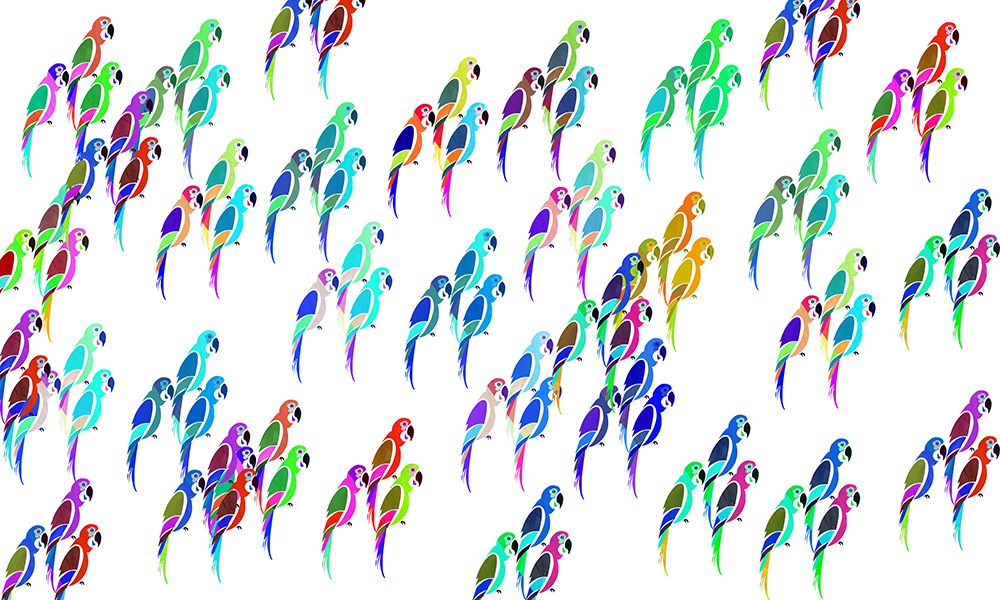 Parakeet Mix art print by cartissi for $57.95 CAD