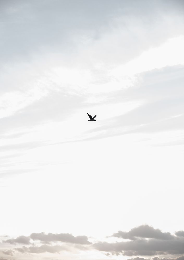 Flying High art print by Mareike Bohmer for $57.95 CAD