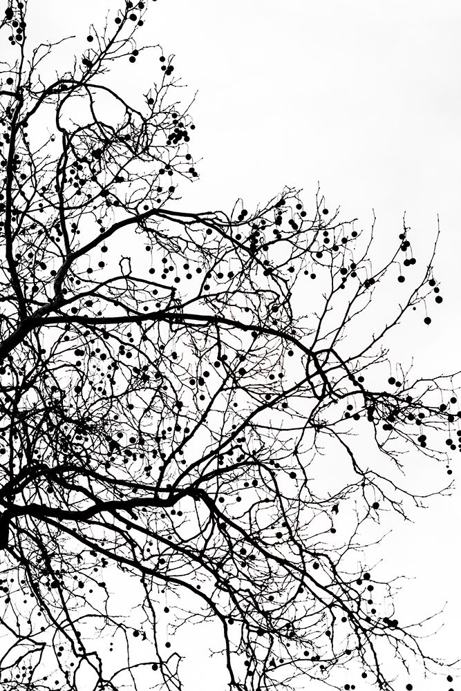 Winter Silhouettes 5 art print by Mareike Bohmer for $57.95 CAD
