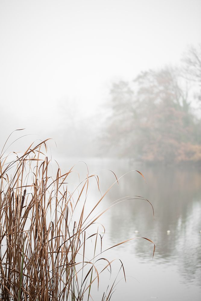 At the Lake art print by Mareike Bohmer for $57.95 CAD