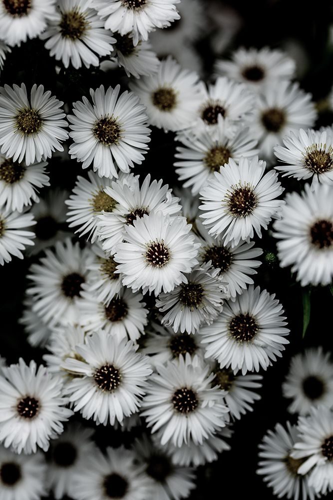 Tiny Flowers 3 art print by Mareike Bohmer for $57.95 CAD