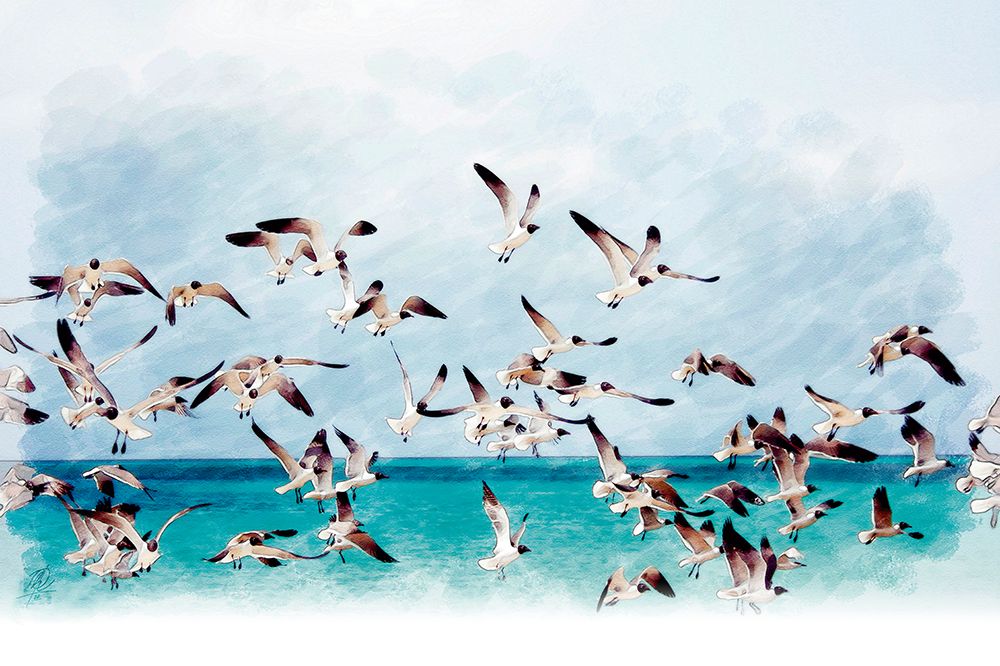 Gaviotas Y Mar art print by Osvaldo Russo for $57.95 CAD