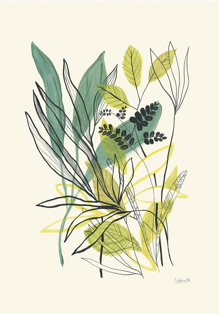 Foliage N.2 art print by Catalina Somolinos for $57.95 CAD