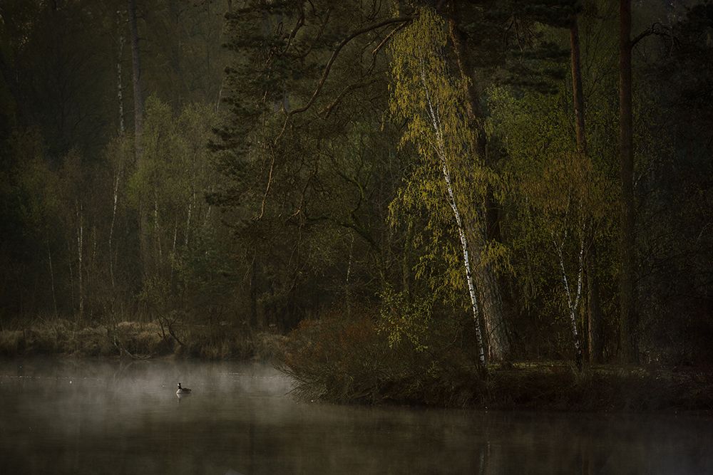 Looking for a friend art print by Anton van Dongen for $57.95 CAD