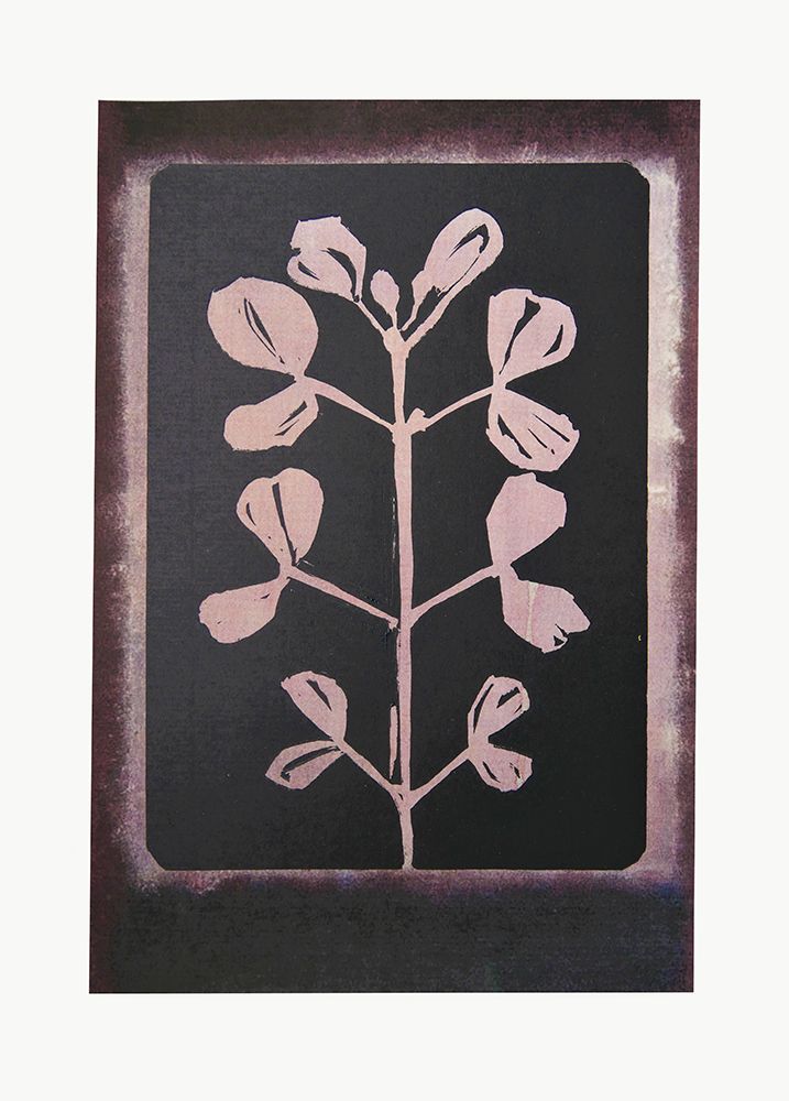 Pastel Botanics art print by Doris Schmitz for $57.95 CAD