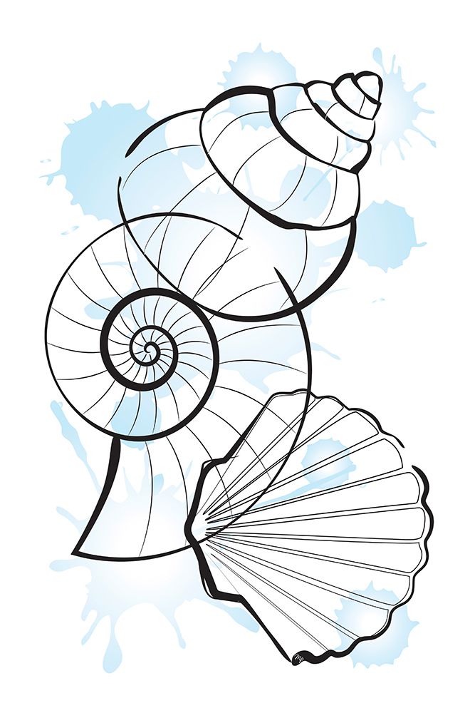 Shells art print by Martina for $57.95 CAD