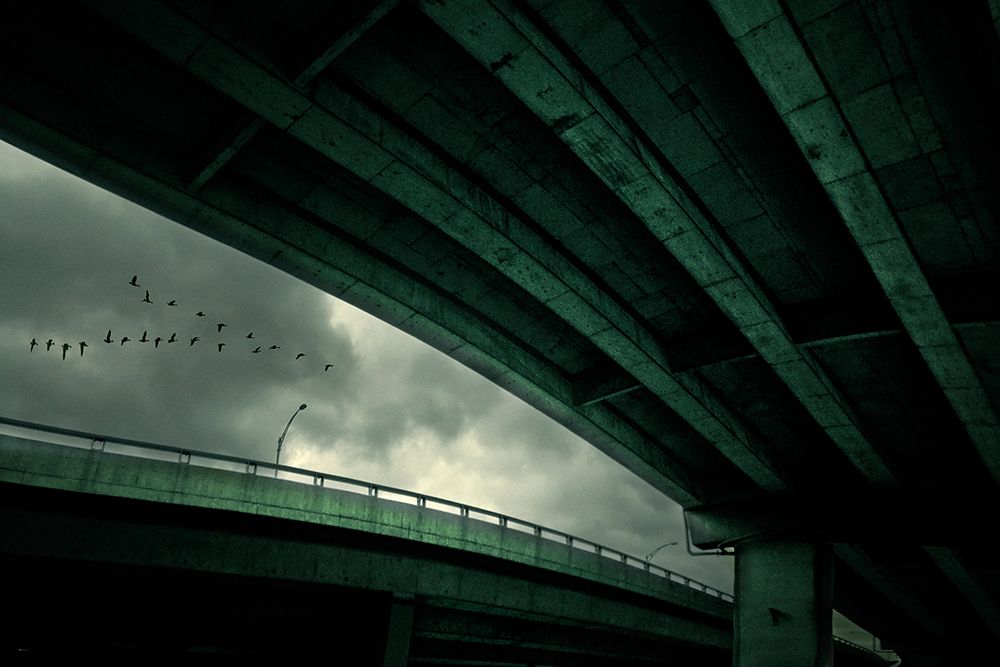 Last Flight art print by David Senechal Photographie for $57.95 CAD