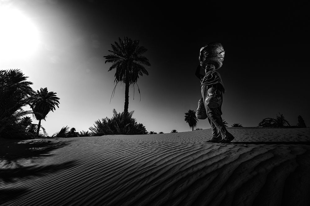 A journey through the desert art print by Abdallah Khalili for $57.95 CAD